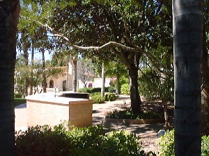 barbque.jpg (83810 bytes)