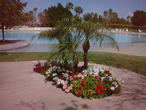 pool4.jpg (67456 bytes)